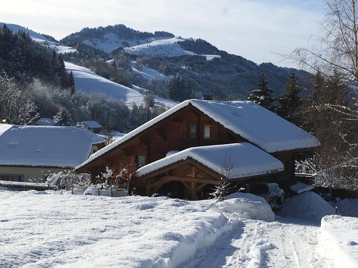 Le Chalet De Doucy Bardet Habère-Poche Extérieur photo